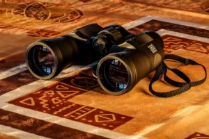 Discovering the Best Binoculars for Your Outdoor Adventures